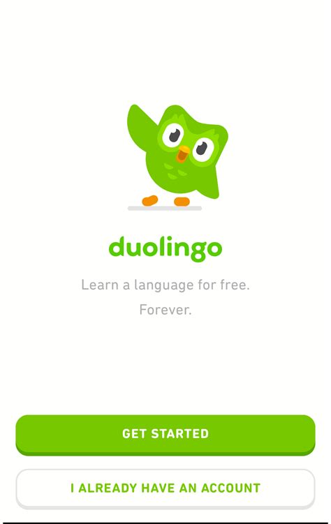 duolingo login